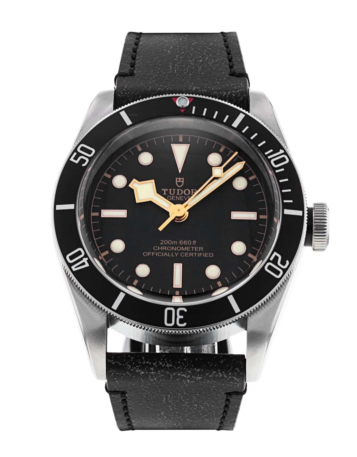 Tudor Black Bay M79230N-0008